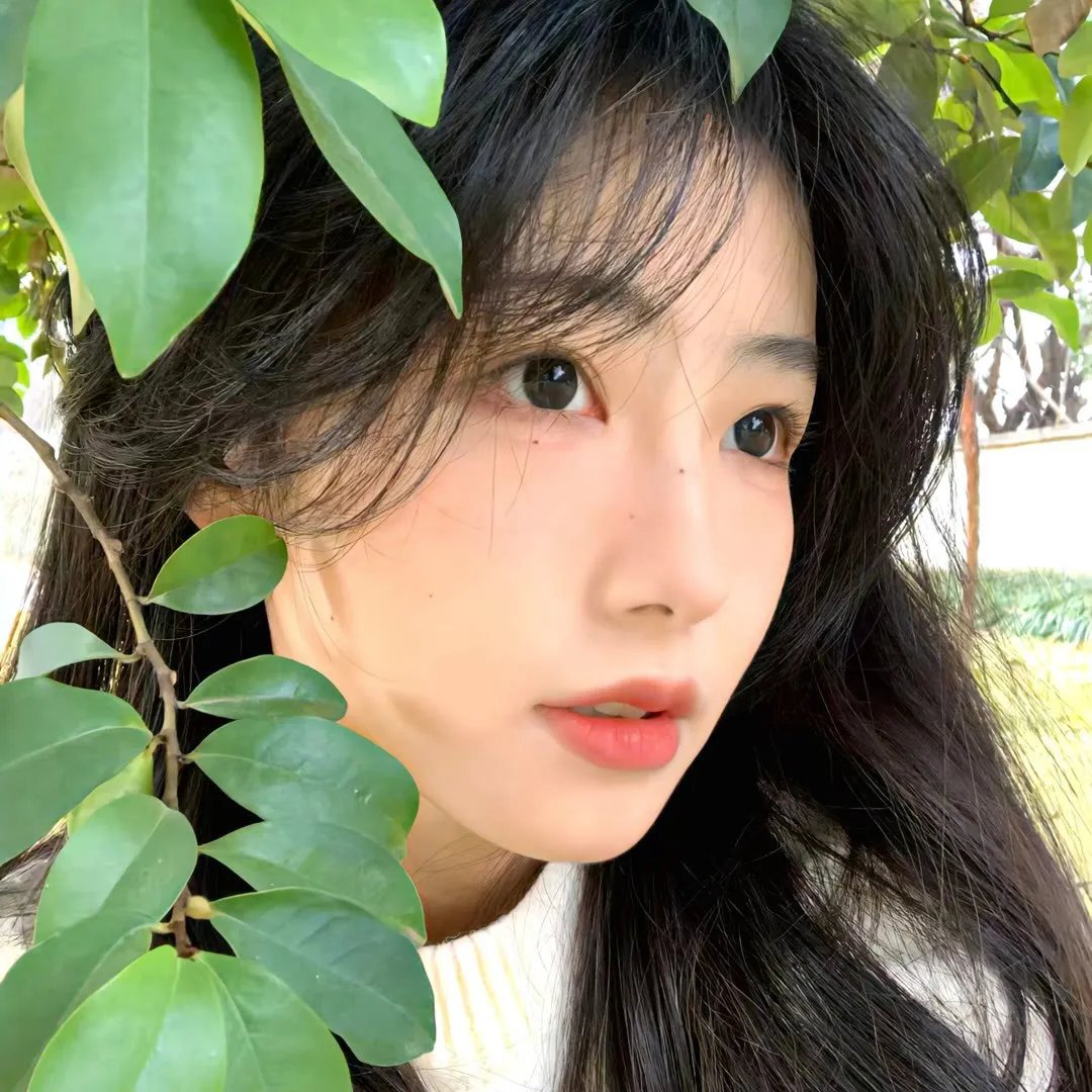 我的世界