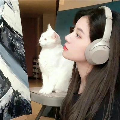 孤胆江湖